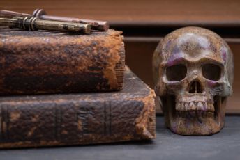 The Book Of The Dead