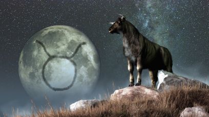 Taurus